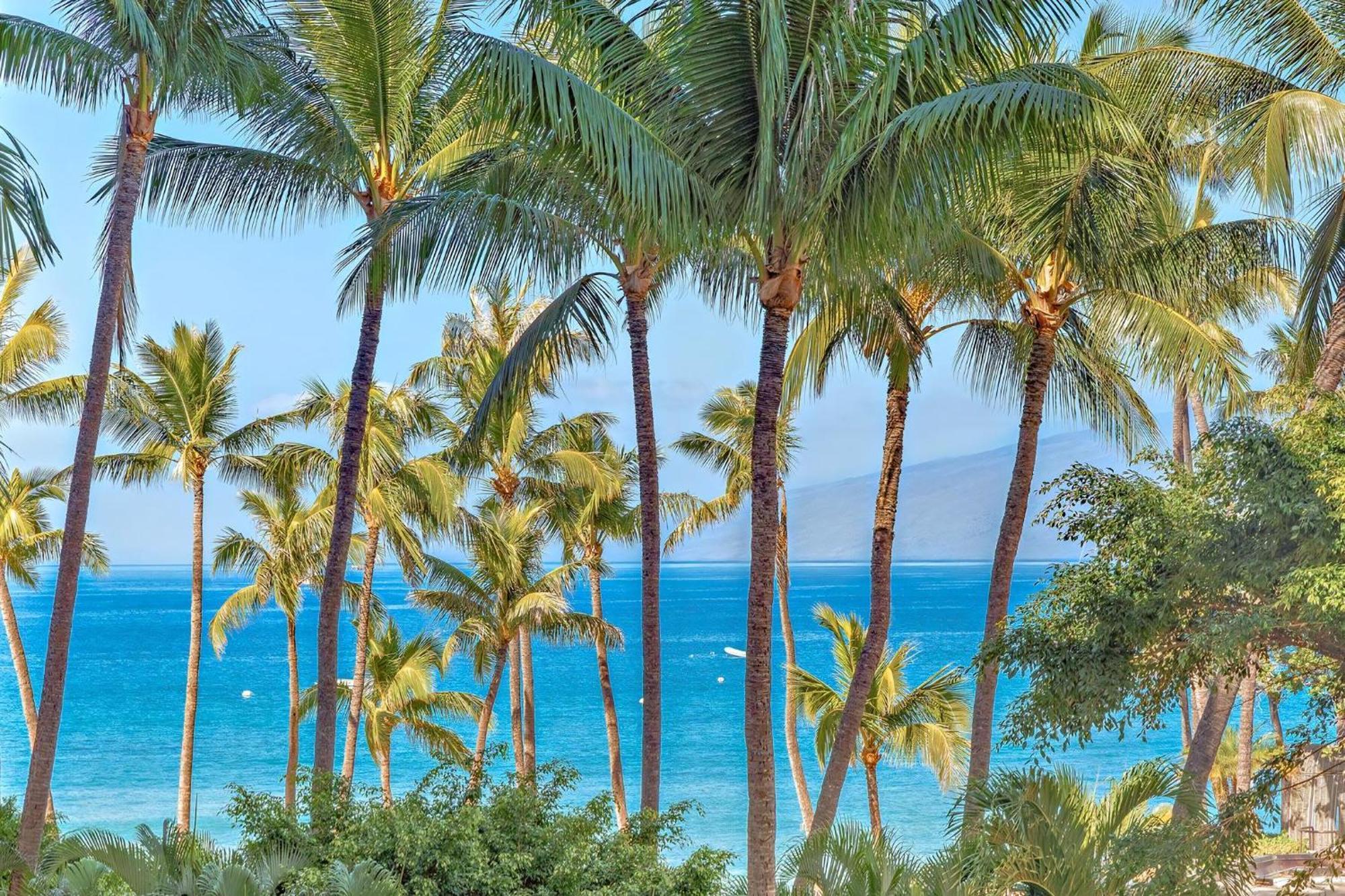 The Kaanapali Alii By Maui Resort Rentals لاهينا المظهر الخارجي الصورة